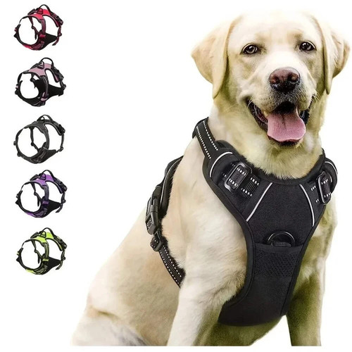 Dog collar harness - collar, leash