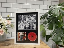 Bruce Springsteen / Born in