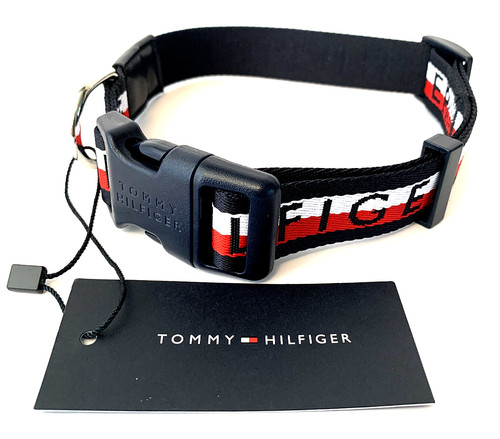 Tommy hilfiger dog - tommy, collar