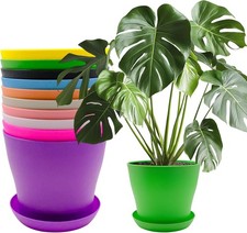 10Pcs 14cm Small Plant Flower