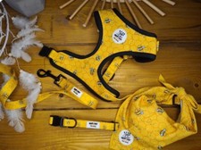 dog harness Busy Bee