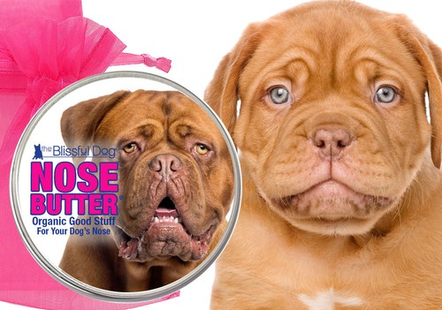 Blissful dog nose butter dogue - blissful,