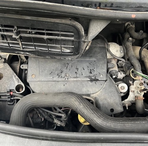 Vauxhall vivaro renault - /,