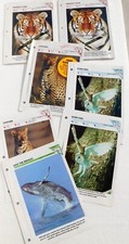 Vtg 1990's WILDLIFE CARDS New