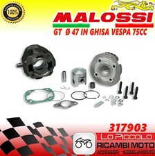 Thermal Unit Malossi Cast Iron