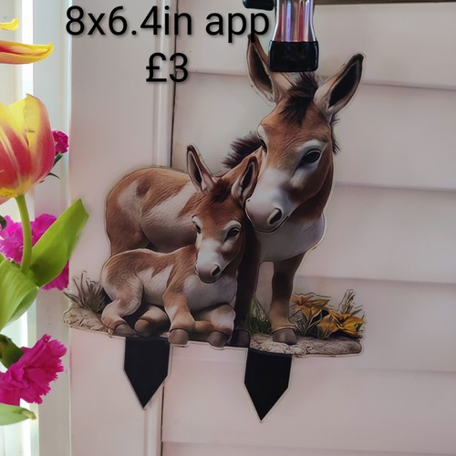 Donkey foal flat 2d - donkey,