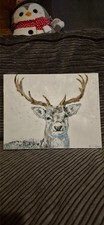 Rare white stag, canvas