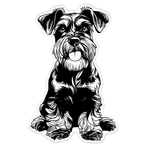 Mini schnauzer sitting - schnauzer,