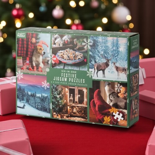 Professor puzzle christmas - professor,