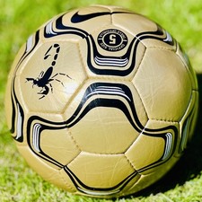 Classic Gold Scorpion Match