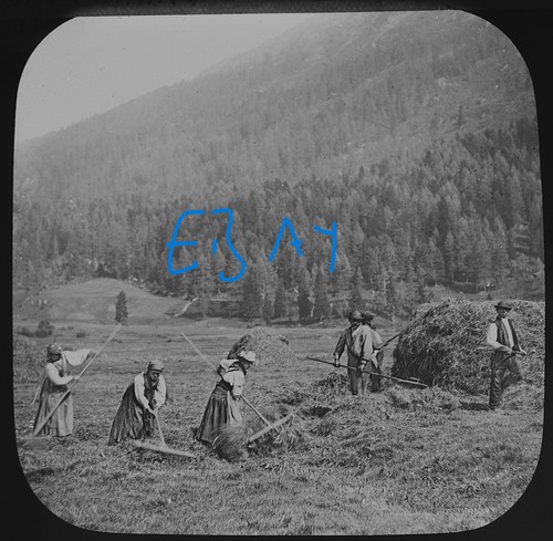 Photo switzerland haymaking - switzerland,