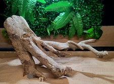 Talawa Wood Aquascaping