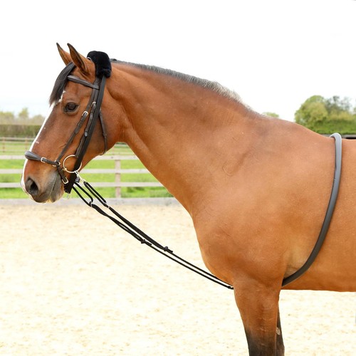 Shires soft lunging - aid,