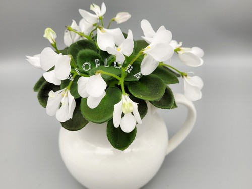 White wasp flower - white,
