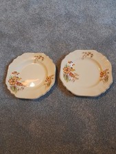 Vintage J&G  Meakin two