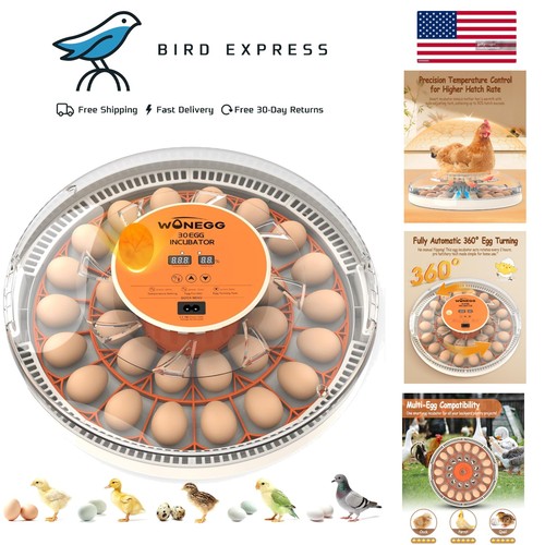 Egg incubator with auto - incubator,