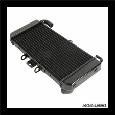 Radiator for YAMAHA FZS 600