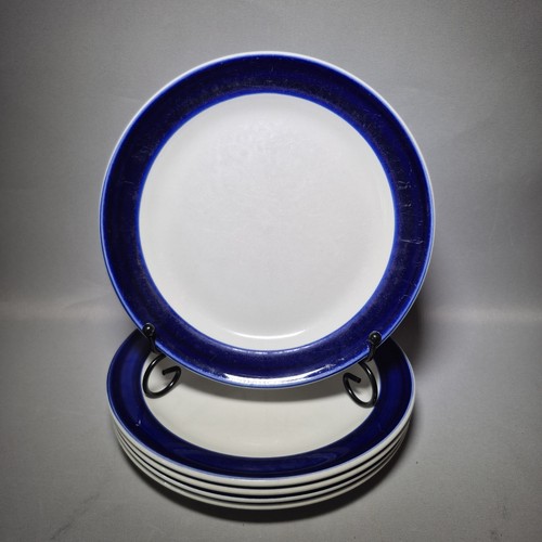 Steelite hotelware blue rim - steelite,