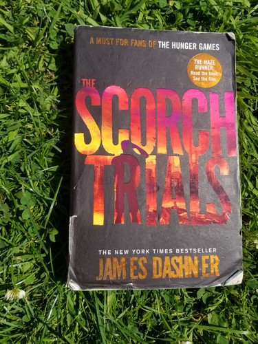The scorch trials movie - scorch,