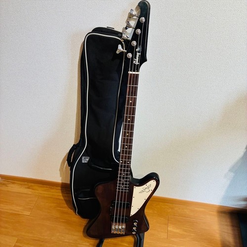 Gibson usa thunderbird - usa, studio
