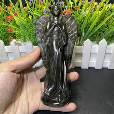 5.9" 0.7LB Natural Golden