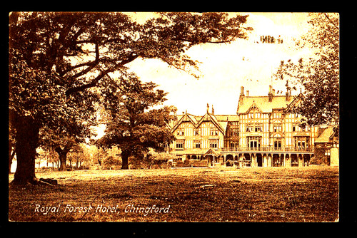 Old postcard royal - royal, forrest