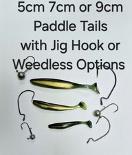 Minnow x 10 Shad Paddle Tail