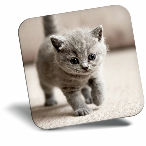 Awesome fridge magnet - awesome,