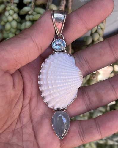 White natural shell blue - white, shell,