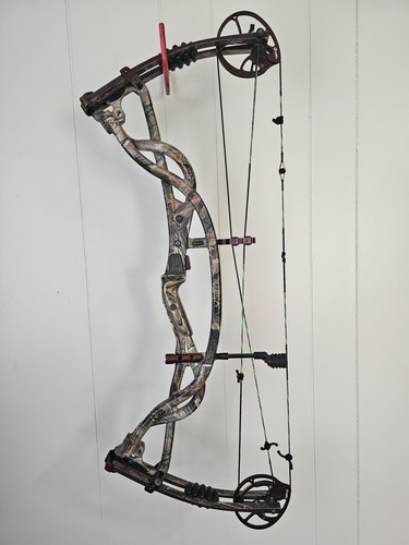 Hoyt carbon element compound - carbon,