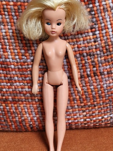 Pedigree sindy sweet dreams - pedigree,