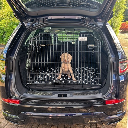 Pet world land rover - world,