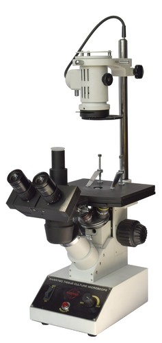Inverted medical live cell - inverted,