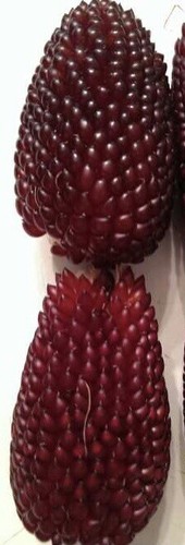 Strawberry popcorn seeds - strawberry,