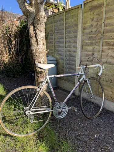 Puch free spirit - free,