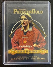 Merlin Premier Gold 97 Karel