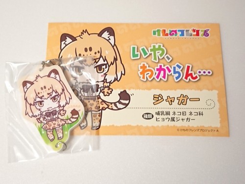 Kemono friends jaguar set - jaguar, of