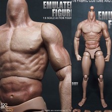 Hot ZC Toys 1/6 Scale Muscular Body Fit for 12" Hot Toys Male Head Sculpt Gifts