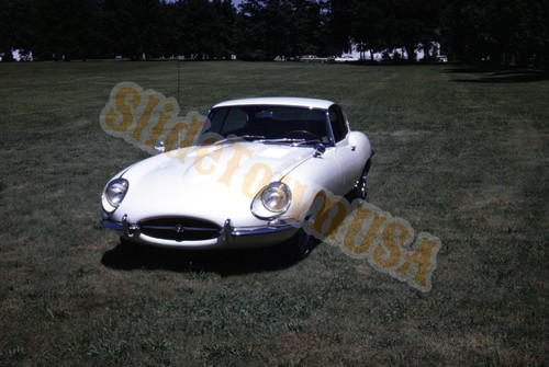 Vtg 1970 35mm slide jaguar - vtg,
