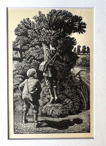 Vintage wood engraving - print,