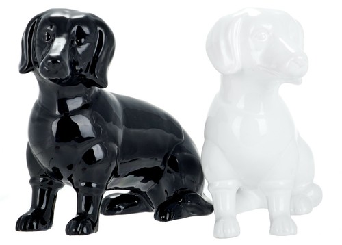 Brand new dachshund dog - dachshund, money