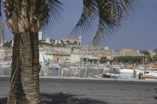 Cannes Old Harbour Yachts and