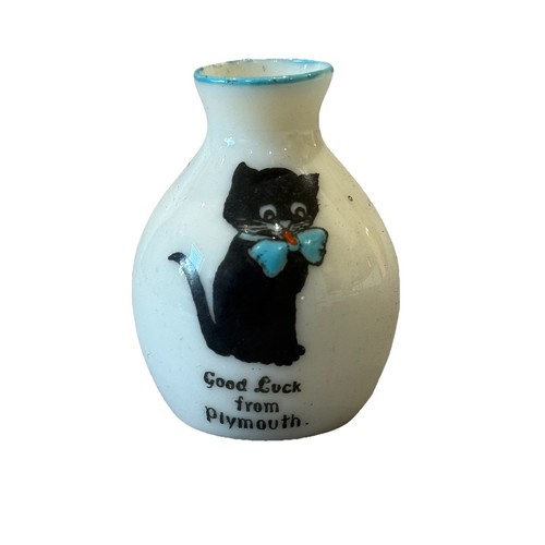 Crested black cat china - crested,