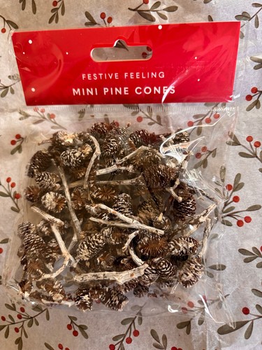 Mini dried pine cones - mini,