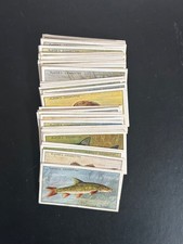 PLAYERS-FULL SET- FRESH WATER