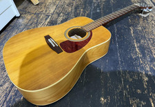 Norman Acoustic B20 (6) Guitar