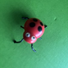 Small Ladybird Red Plastic