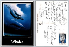 Wyland Humpback Whales Art