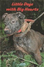 DARCY JONATHAN TERRIERS BOOK