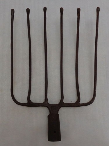 Antique tine beet potato - beet,